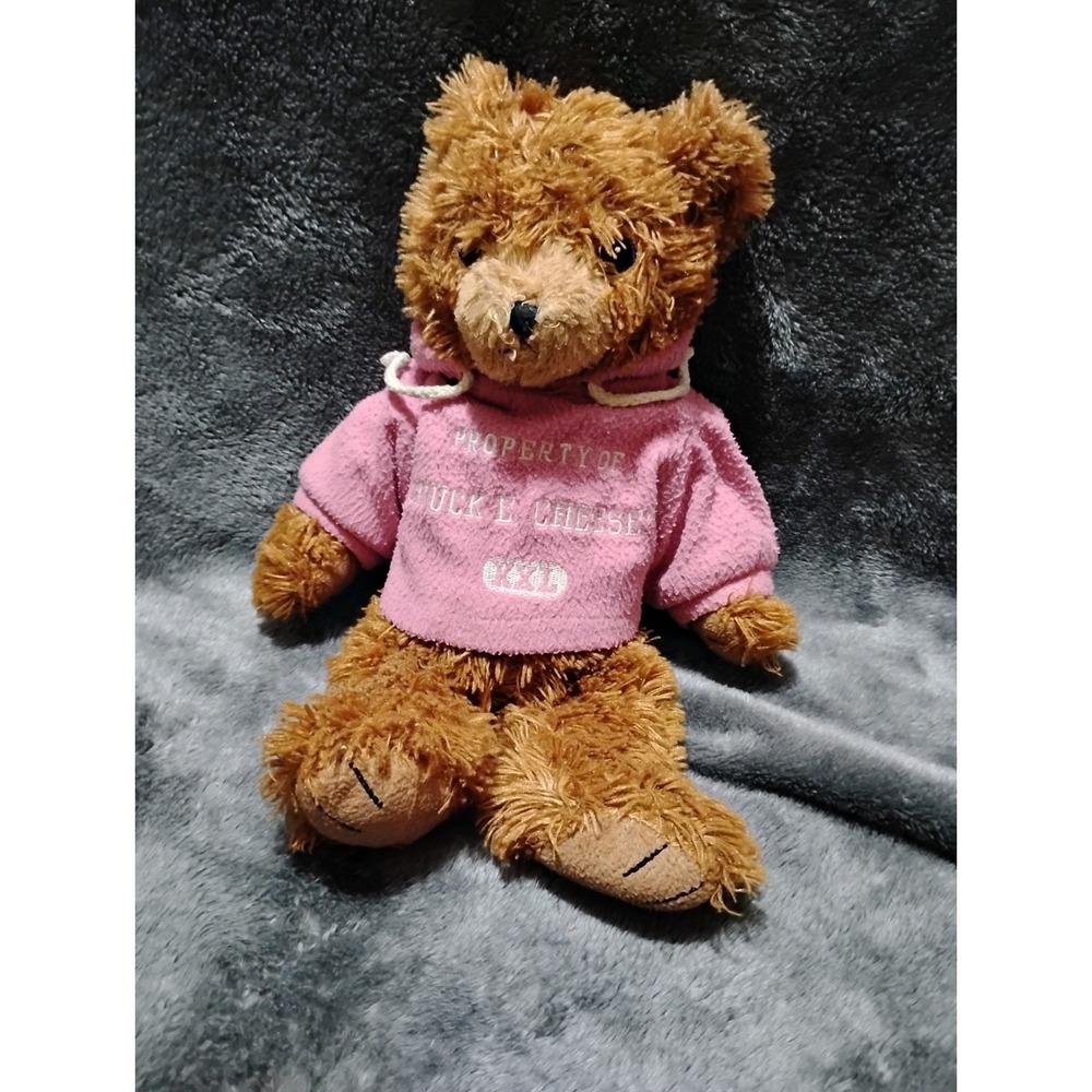 Plush‎ Bear W/Pink Hoodie Good Stuff 14"